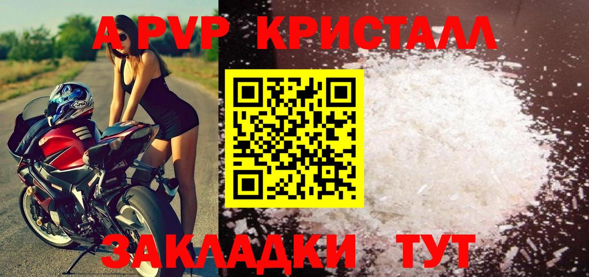 A-PVP СК Горно-Алтайск