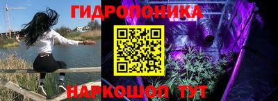индика Можайск