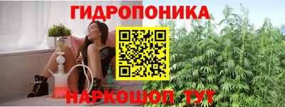 индика Можайск