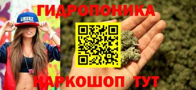 спиды Моздок