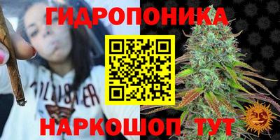 индика Можайск